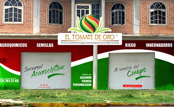 Sucursal Hidalgo