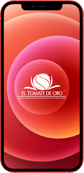Contacto
