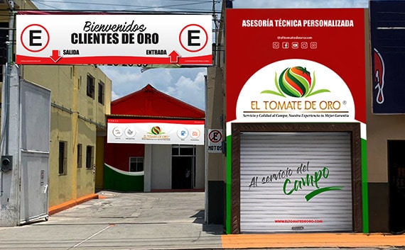 Sucursal Mixquiahuala